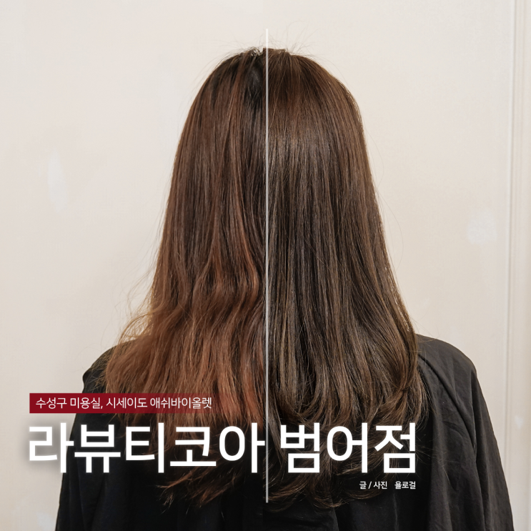  수성구 미용실 톤다운 염색 후기, 시세이도 애쉬바이올렛