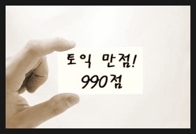 토익만점 990점 달성후기(feat.라쌤토익)