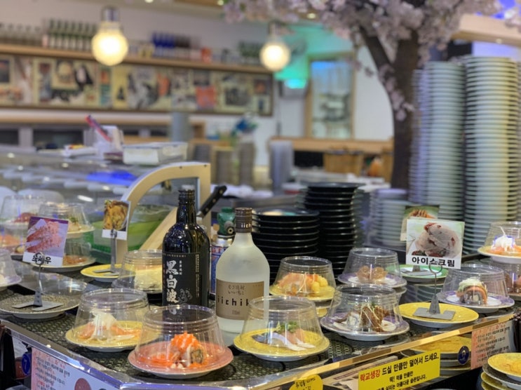  제주스시맛집_노형동에서 스시를 찾는다면_스시성