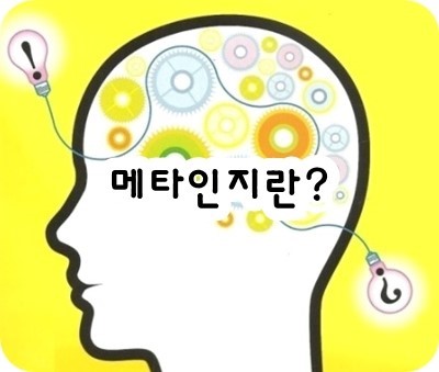  메타인지 키우는 방법 3가지  (feat. 엄마의 첫 심리공부 by 누다심)