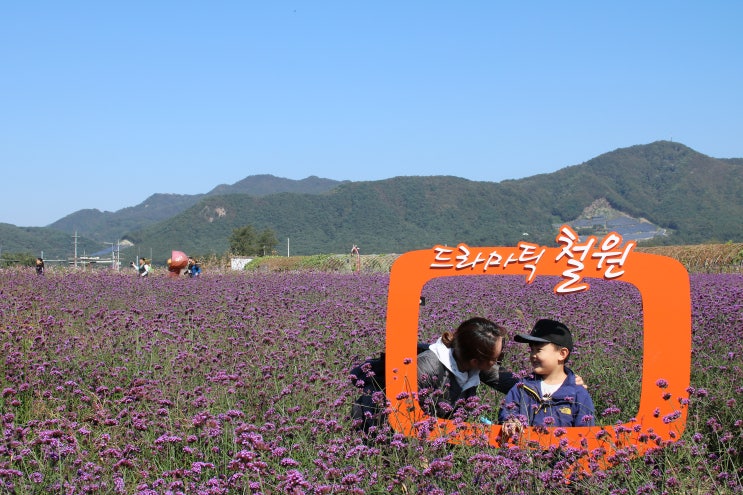  철원 가볼만한곳, 고석정 꽃밭 포함 우리가족 첫 강원도가을여행 코스