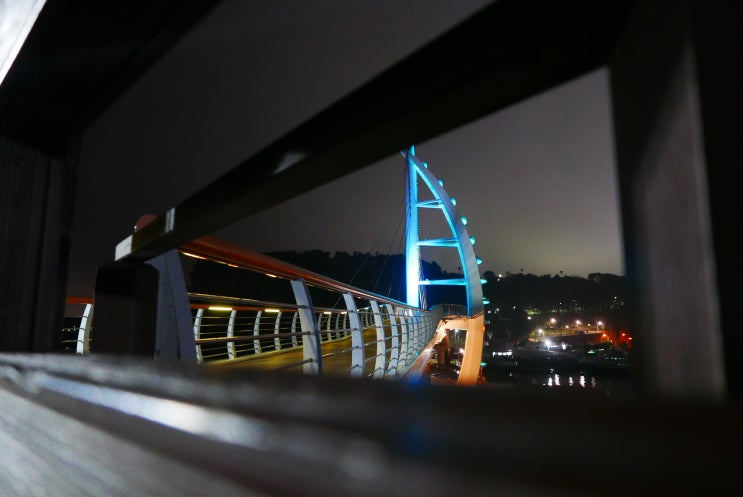  제주도야경 새연교에서 힐링하기!