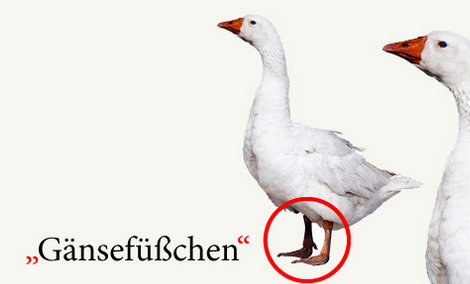  독일어 구두법: 따옴표 (Anführungszeichen, Gänsefüßchen)