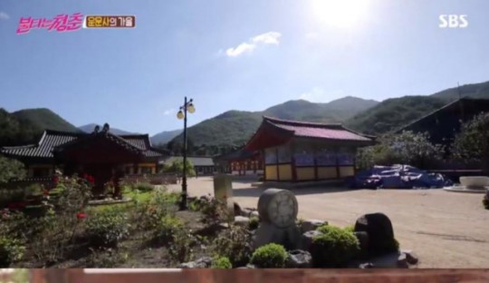 '불타는 청춘' 청도 운문사 방문한 신효범-강문영-김혜림-김완선…어떤 곳이길래? '불타는 청춘' 청도 운문사 방문한 신효범-강문영-김혜림-김완선…어떤 곳이길래?