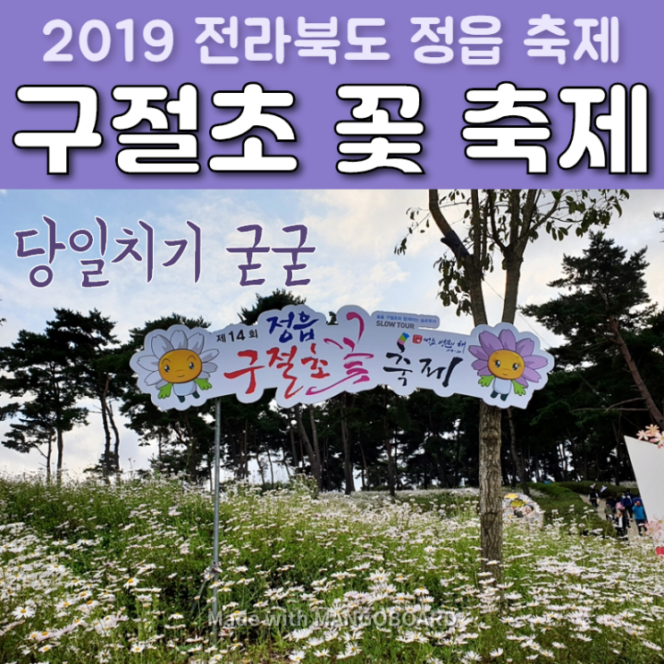  2019 전라북도 정읍 구절초 꽃 축제 - 입장료, 주차장, 먹거리, 놀거리