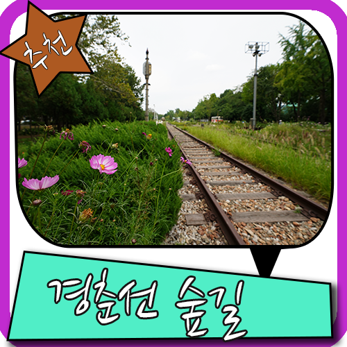  화랑대 철도공원 여유만끽하며 경춘선 숲길 걷기