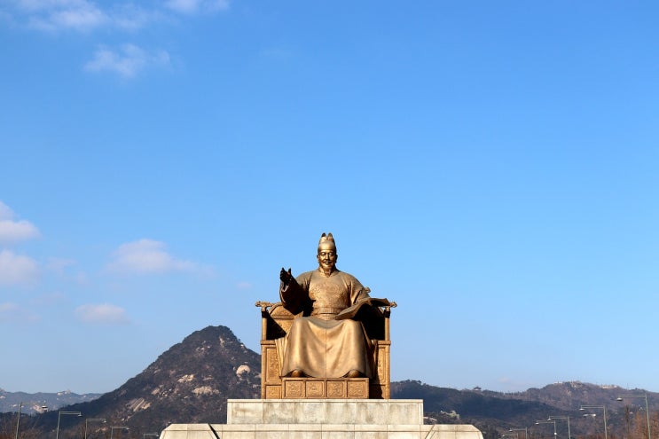  노량진수산시장 방어 가격, 10kg 이상 대방어 입고! 추천 회 종류 가격 함께 확인~