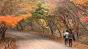  술 안 마셔도 지방간 걸릴수 있다
