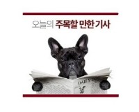  유시민의 알릴레오, 정경심 자산관리인 한투 김경록차장(37) 육성 최초 공개..'사실 밝힌다'