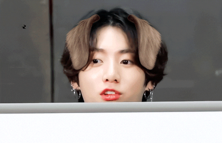  [방탄소년단 정국] 왕자 강아지 vs 꾹토끼