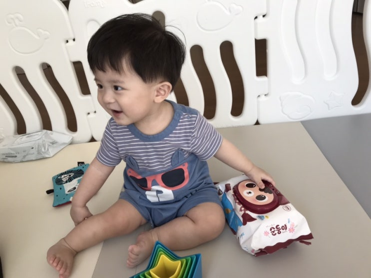  안전한 물티슈는 아기물티슈 순둥이 가을에디션