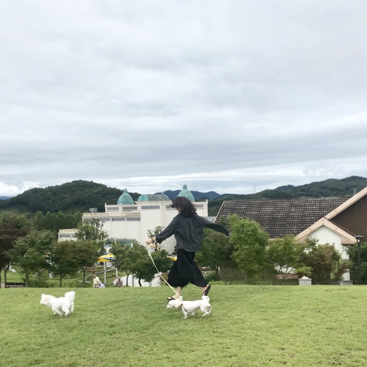  【임실여행】 다슬기수제비와 다슬기회무침 ‘성원회관’/임실치즈맛집 ‘이즈피자’/임실반려견동반여행 ‘임실치즈테마파크’