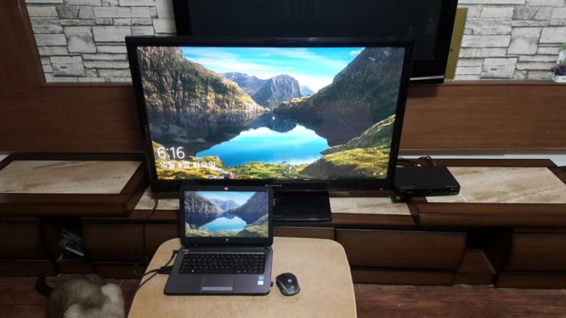 다이소 모니터 케이블 HDMI DVI VGA 다이소 듀얼모니터 연결 케이블