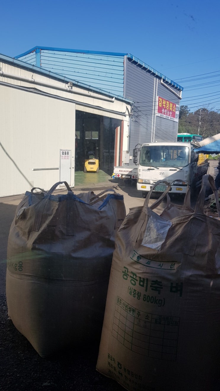  2019년가을추수~