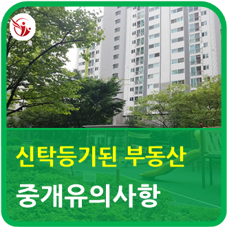  신타등기된 부동산 물건 중개시 유의사항