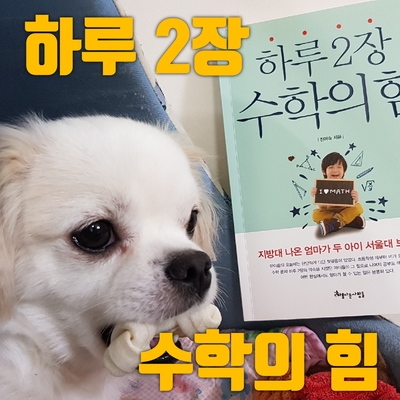  수학 잘하는 법 : 하루2장 수학의 힘 by 진미숙