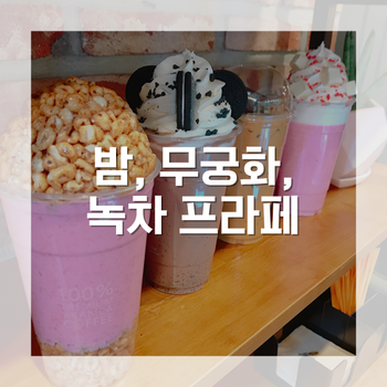  가을 밤이 주렁주렁, 무궁화는 활짝 + 메가커피에서 녹차 프라페