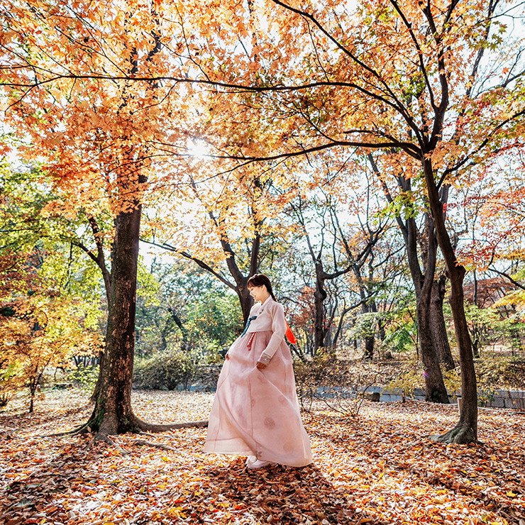  [Viatelier] 가을 단풍 스냅 비아틀리에 창경궁 한복스냅