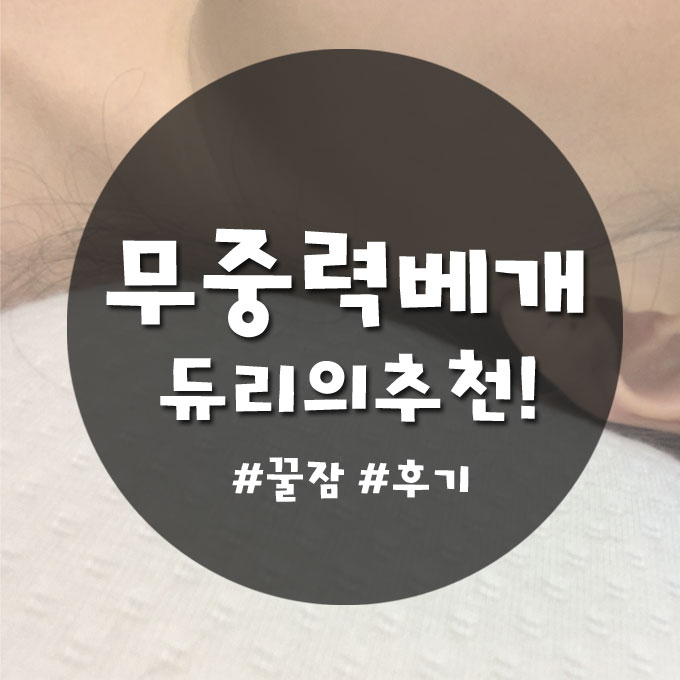 무중력베개 찾았다 인생템 :: 내돈내삼