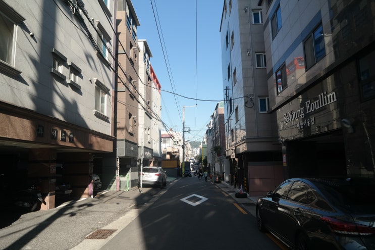  나의 추억이 있는 수영초등학교