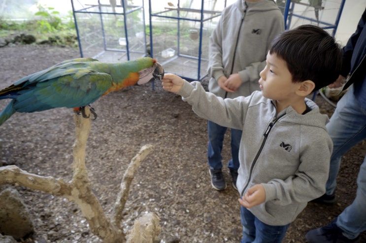  제주도 동물체험 화조원