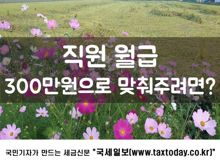  직원 월급 300만원으로 맞춰주려면?
