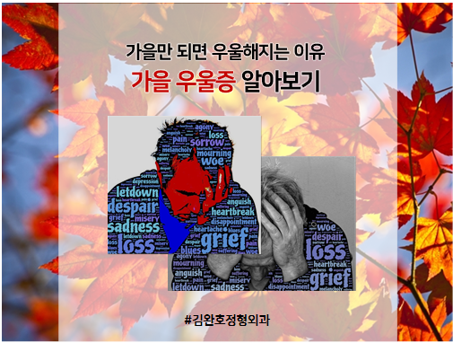  가을만 되면 우울해지는 이유, 가을우울증 알아보기