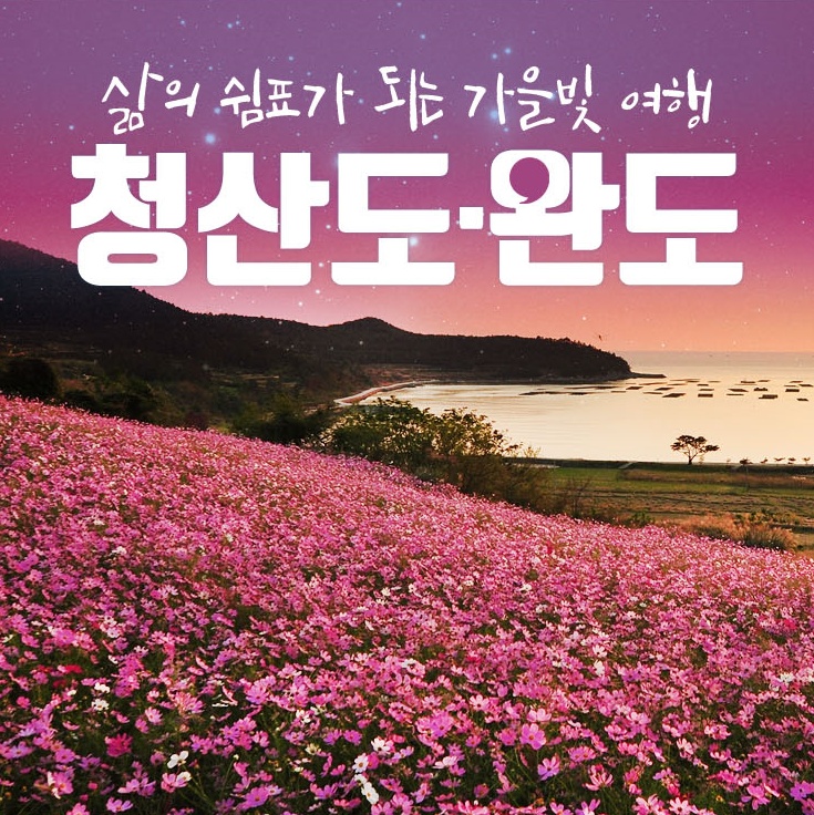  청산도, 완도 버스 숙박여행 (해남대흥사/완도타워모노레일/슬로우시티완도청산도) - 부름여행사