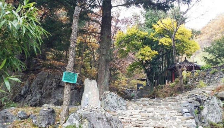  평택데이트코스 색다른 경험을 했어요.