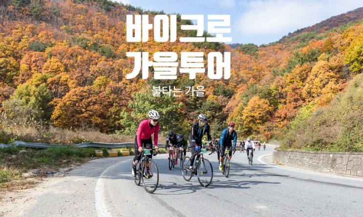 [이벤트] 단풍 라이딩, 2019 불타는 가을의 절정, 바이크로와 함께 최고의 경치를 즐기는 호화로운 자전거 여행, 크루즈급 서포터와 함께 달려보자, 남애항 대관령 진고개