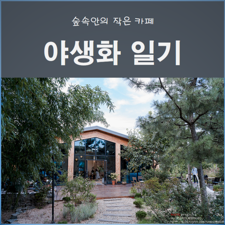  [포항] 숲속안의 작은 카페 ; 야생화일기