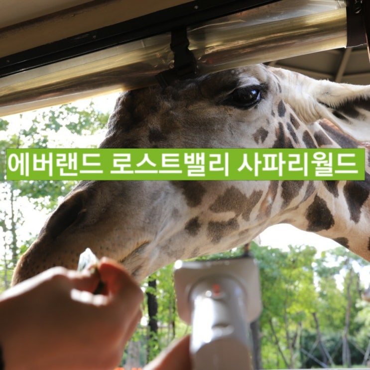  에버랜드 로스트밸리 , 사파리월드 첫번째
