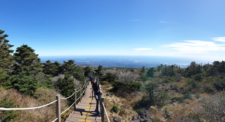  제주 1박2일, 한라산 성판악~관음사 길을 걷다.