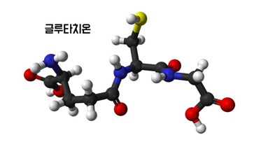 글루타치온 - 항산화, 피부 미백, 간, 해독 글루타치온 - 항산화, 피부 미백, 간, 해독