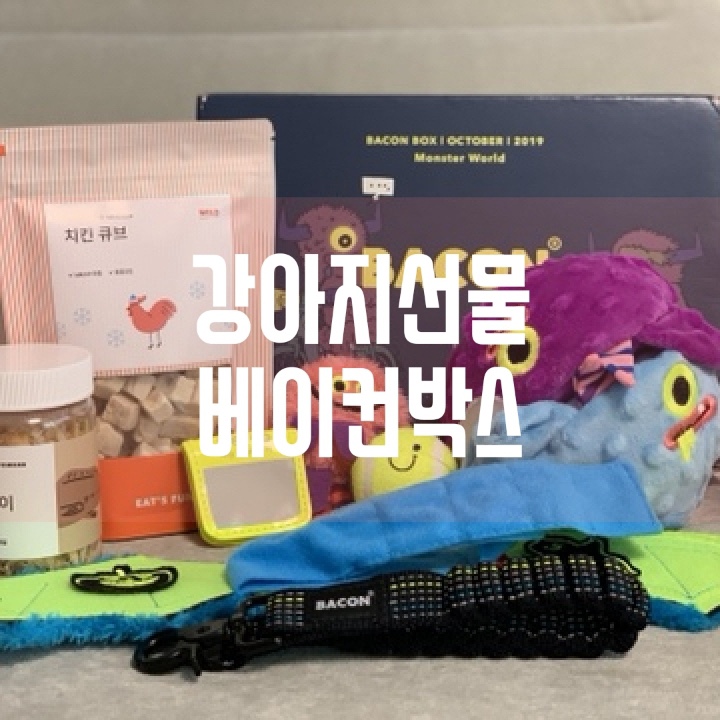  베이컨박스 매달 새로운 강아지선물 배송받으세요
