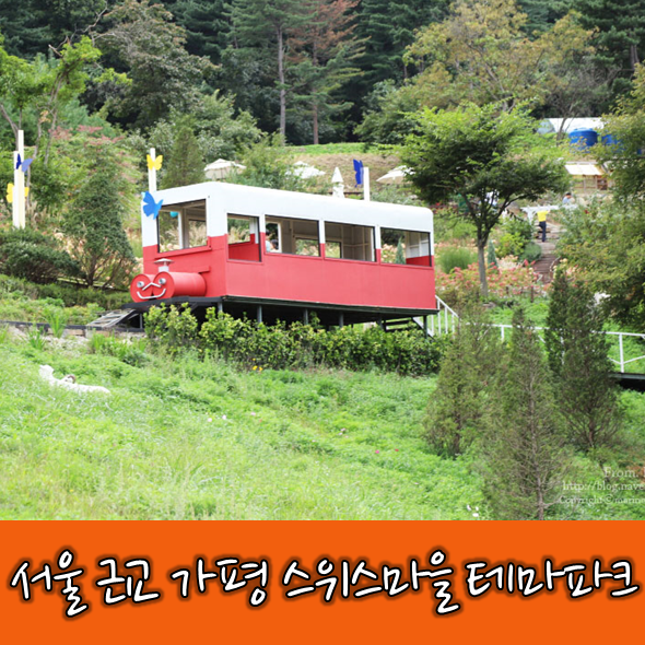  <여행지 추천> 가평 에델바이스 스위스마을 테마파크 정보 총정리!