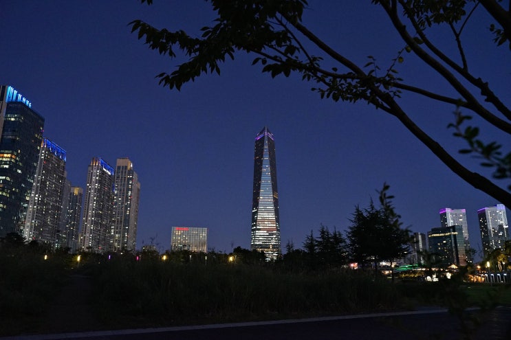  [ A7m2 + 탐론2875 ] 삼각대 없이 떠나본 송도 센트럴파크 야경 출사