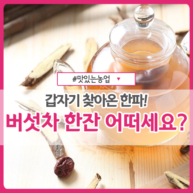  c️갑자기 찾아온 한파! 따뜻한 버섯 차 한잔 어떠세요?