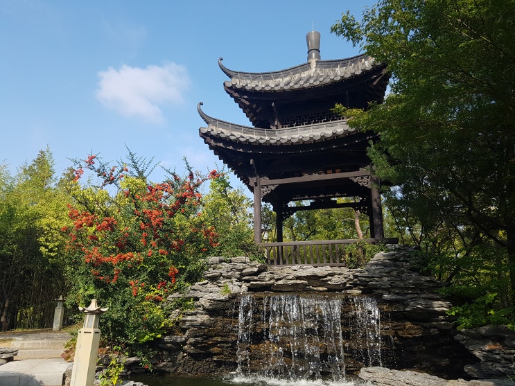  일상