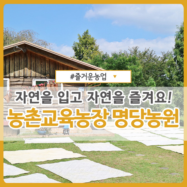  [경남 사천] 자연을 입고 자연을 즐겨요! :: 농촌교육농장 명당 농원