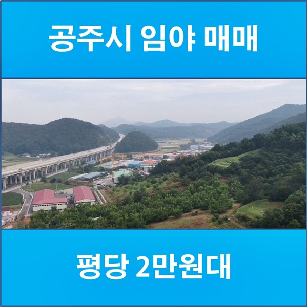  공주시 임야 매매 평당 2만원대