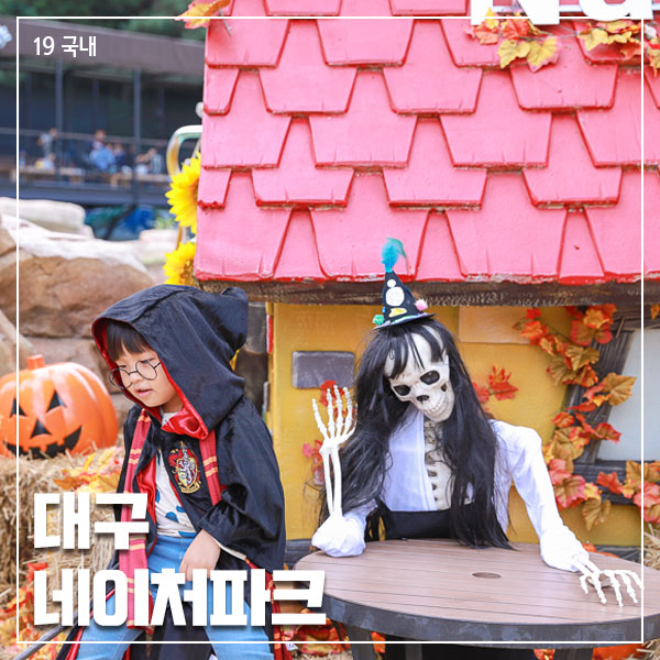  대구가볼만한곳 네이처파크 아이랑 동물먹이주면서 놀기 좋아요