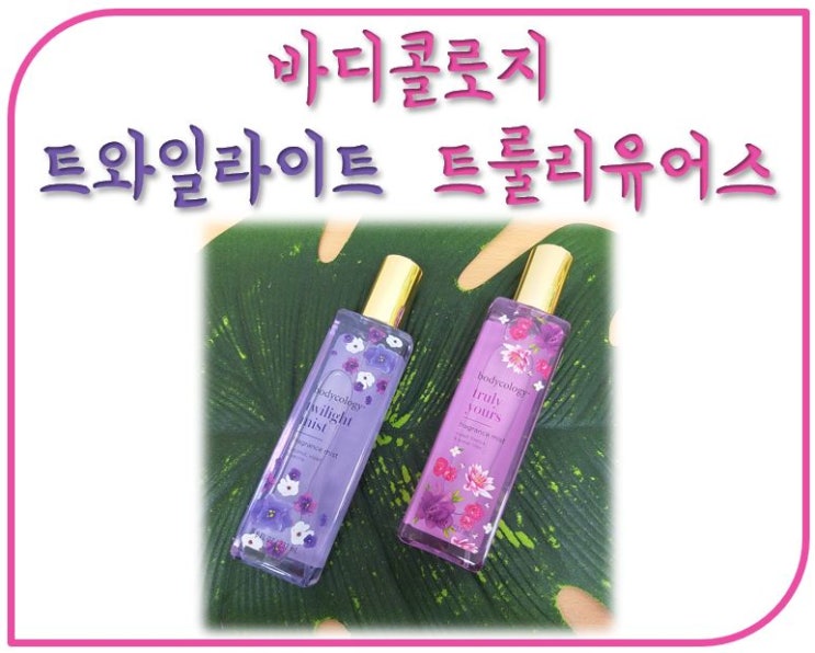  가을 바디미스트 추천 바디콜로지 트룰리유어스 트와일라이트