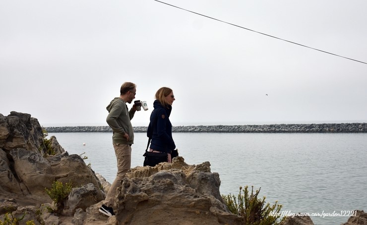  California Orange County City of Newport Beach Corona del Mar(안개 자욱했던..) 