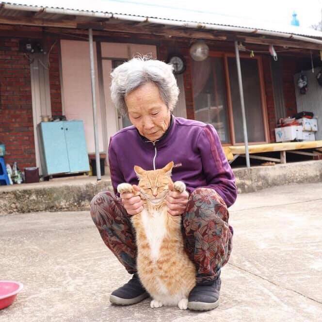 시골 할머니 댁에 입양된 고양이의 '귀농' 일 년 차 모습