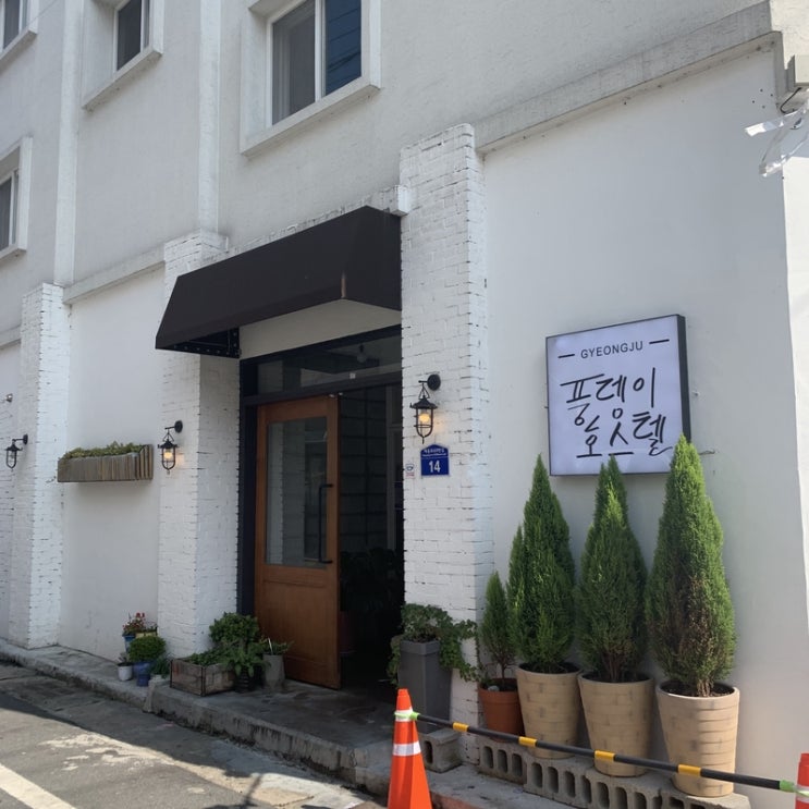  경주 게스트하우스 '풍뎅이호스텔' 솔직후기