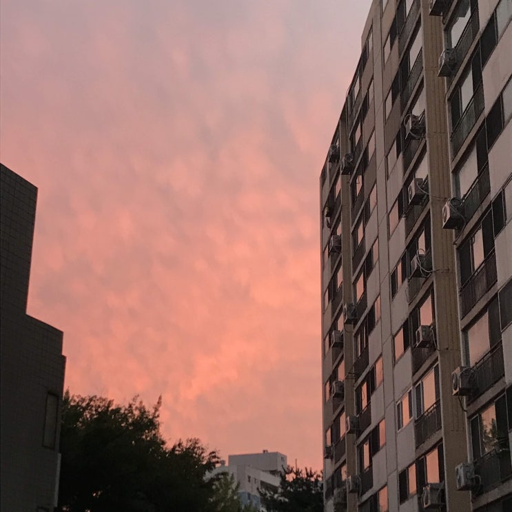  190925_ɢᴀɴɢɴᴀᴍ,