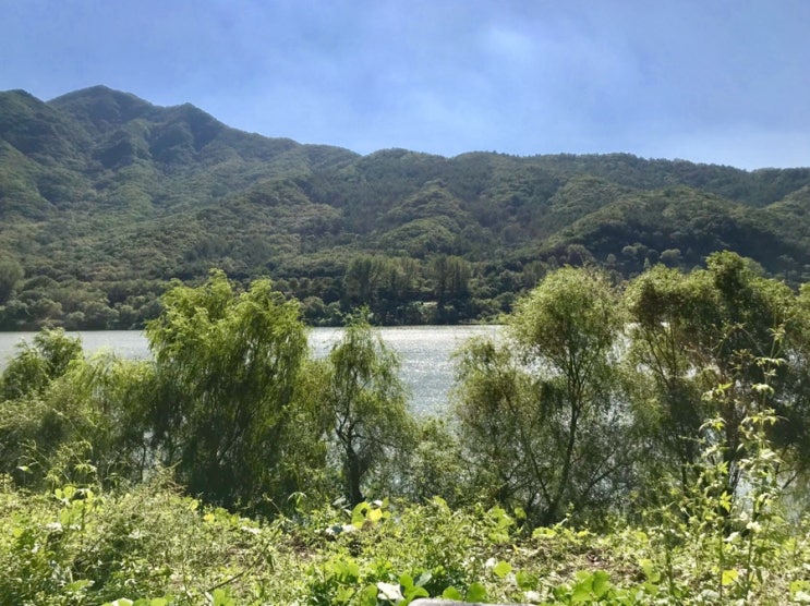  [또 백수] 191003-191013 퇴사해도 별거 없단다