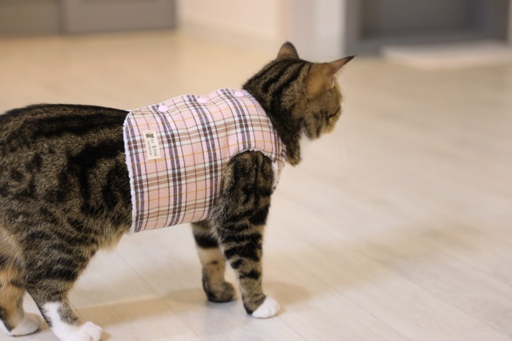  고양이 털조끼, 강아지 털조끼: 러블리 핑크 체크