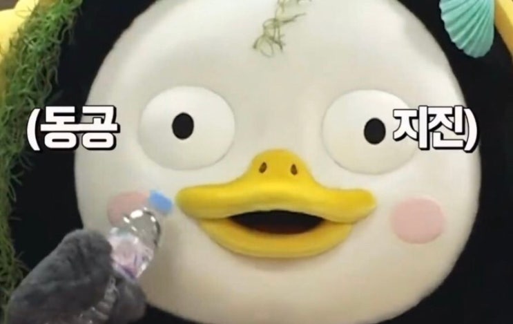  달행, 20191009 인생은 타이밍 ㅋㅋㅋㅋ